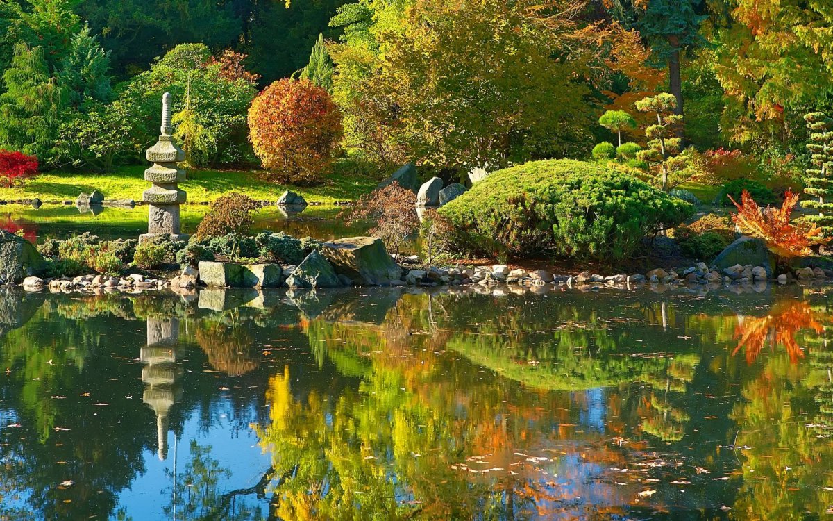 Сад в японском стиле | Ландшафт